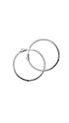 Amaia Medium Hoops White Gold Plated